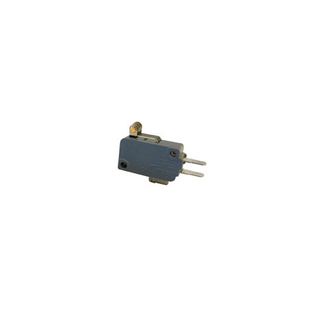 V15H22-CZ100A05 MicroSwitch