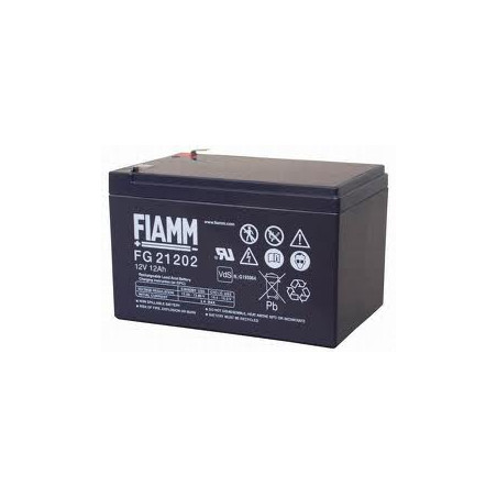 FG21202 įkraunamas 12V 12Ah Faston 6.3mm