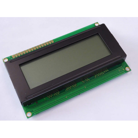 DEM 20485 FGH-PW alphanumeric displays