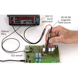 E1 immunity test kit