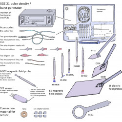 E1 immunity test kit