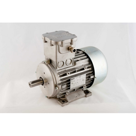 OD063B4H2305P4 EX 3X230 / 400V electric motor 0.18KW