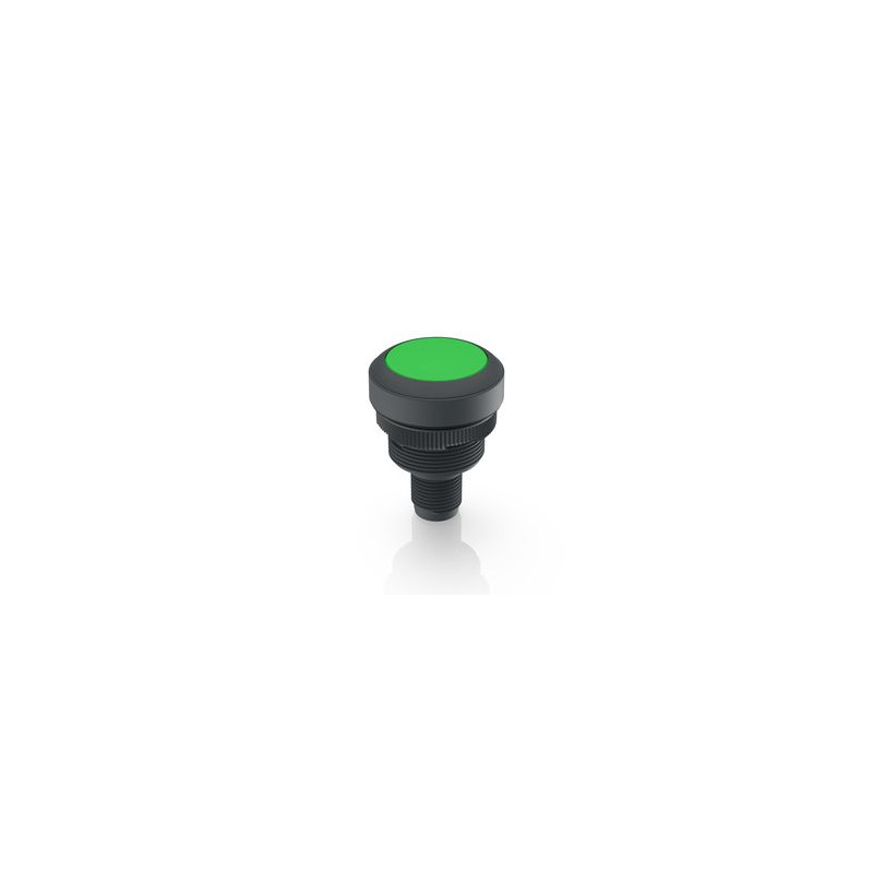 Ramo 22 I, Lampa de control, M12 cu 4 pini A-codat, verde