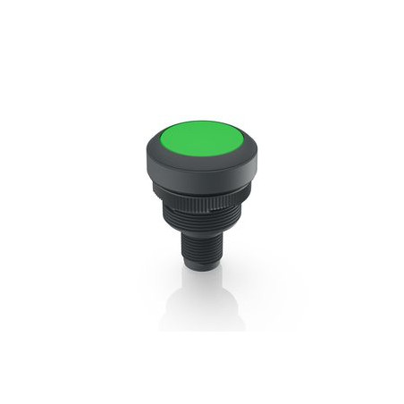 Ramo 22 I, Lampa de control, M12 cu 4 pini A-codat, verde