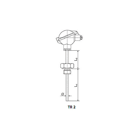 Resistant temperature sensor with screw thread and replaceable measurement insert. Type tr2